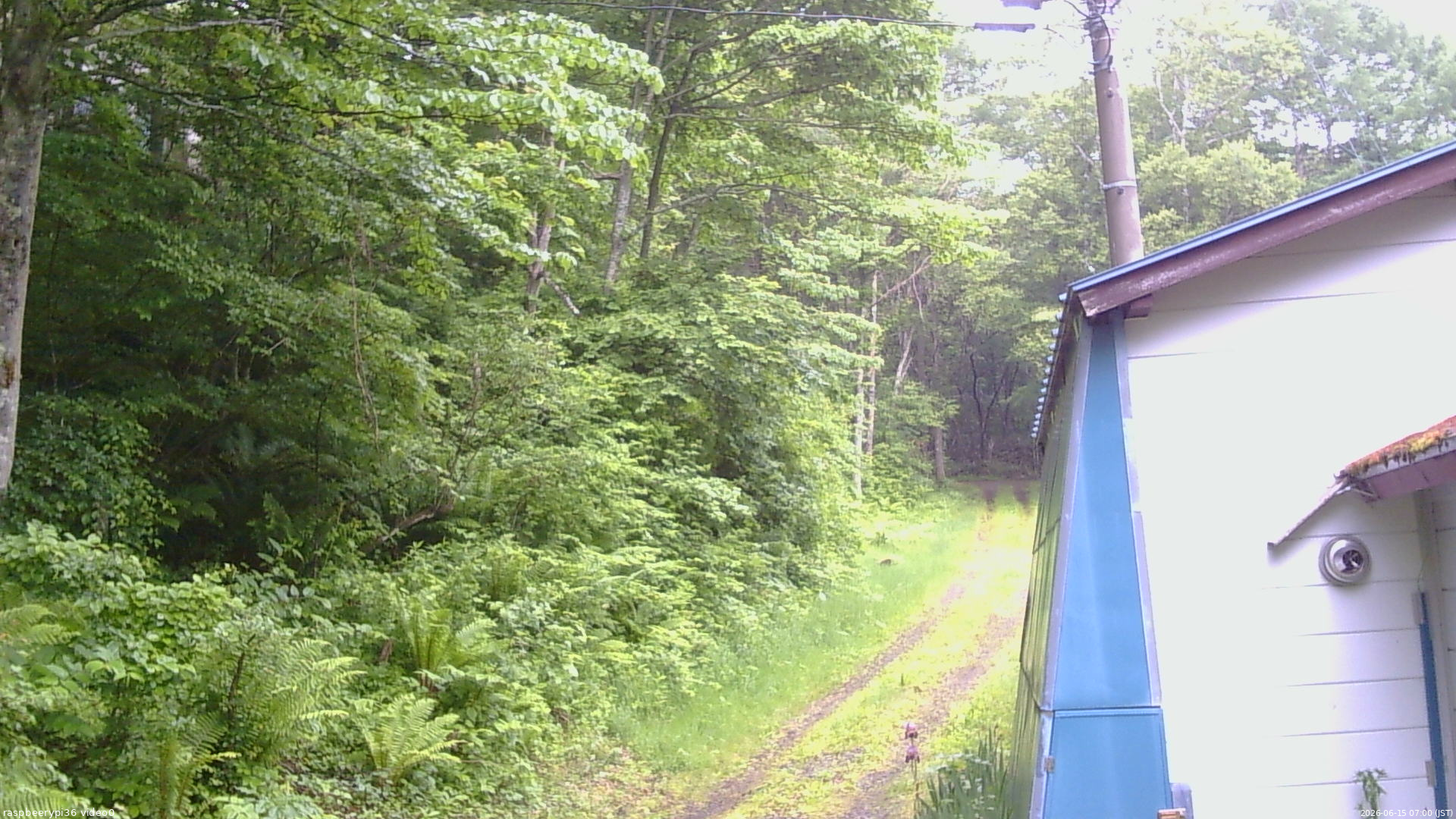 長野県菅平高原 ゆたか山荘 ゆたか山荘 2026/06/15 07:00