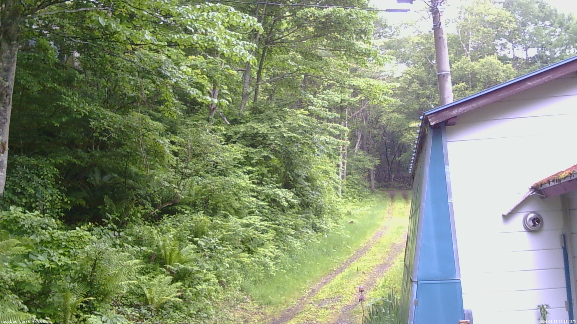 長野県菅平高原 ゆたか山荘 ゆたか山荘 2026/06/15 07:15
