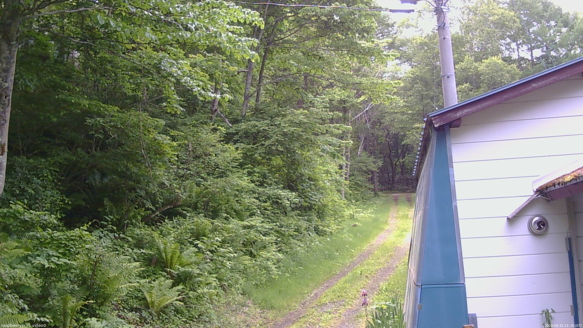 長野県菅平高原 ゆたか山荘 ゆたか山荘 2026/06/15 13:30