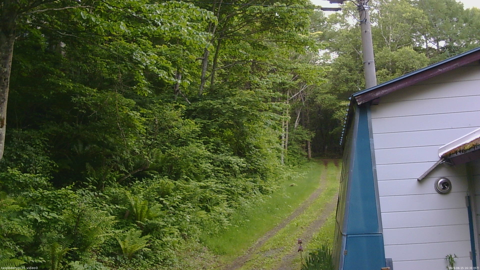 長野県菅平高原 ゆたか山荘 ゆたか山荘 2026/06/15 16:00