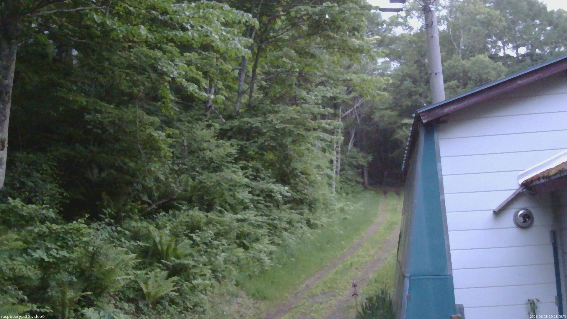 長野県菅平高原 ゆたか山荘 ゆたか山荘 2026/06/15 19:15