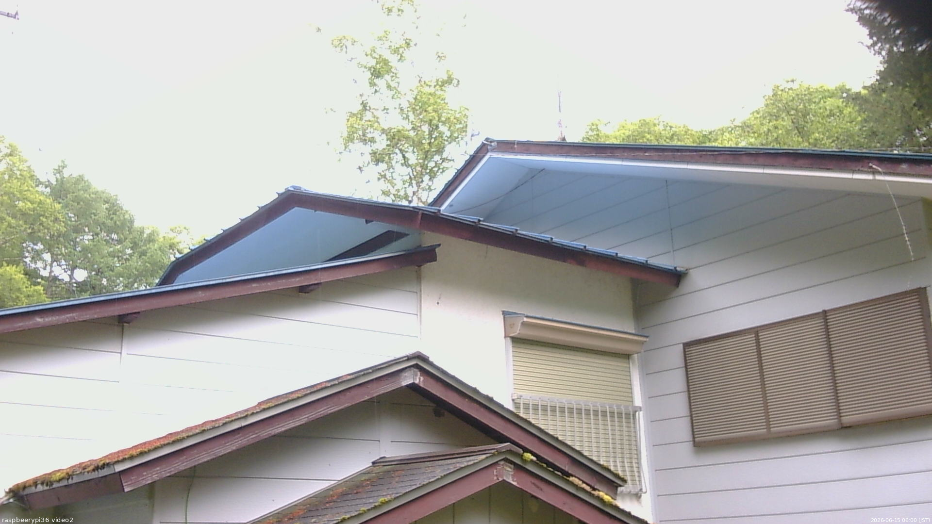 長野県菅平高原 ゆたか山荘 駐車場奥 2026/06/15 06:00