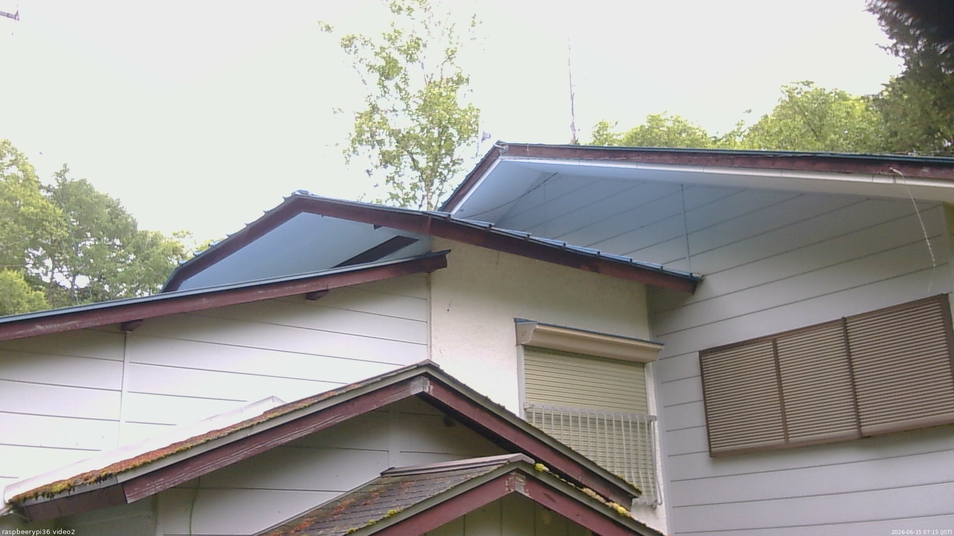 長野県菅平高原 ゆたか山荘 駐車場奥 2026/06/15 07:15