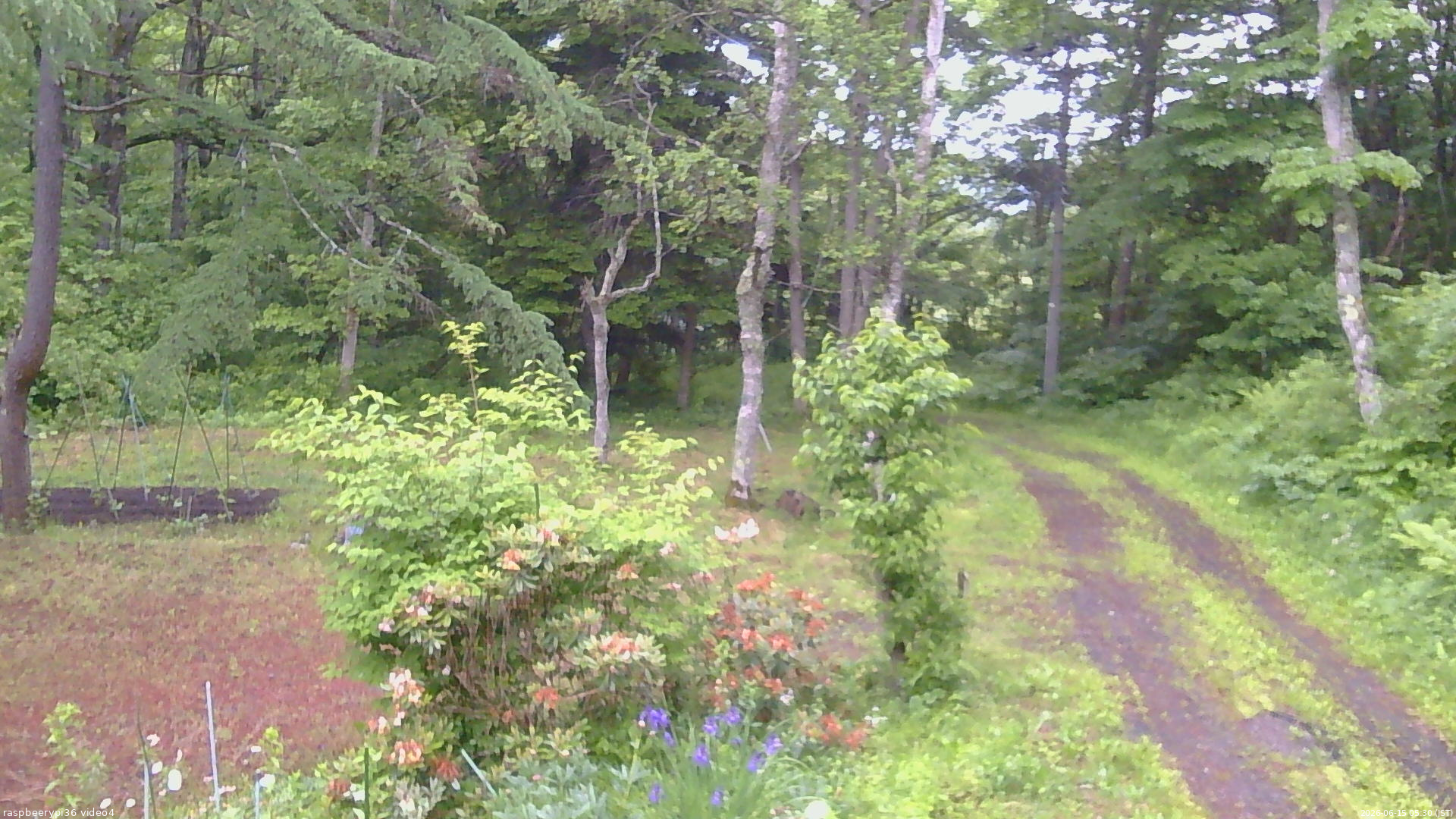 長野県菅平高原 ゆたか山荘 坂上 2026/06/15 05:30