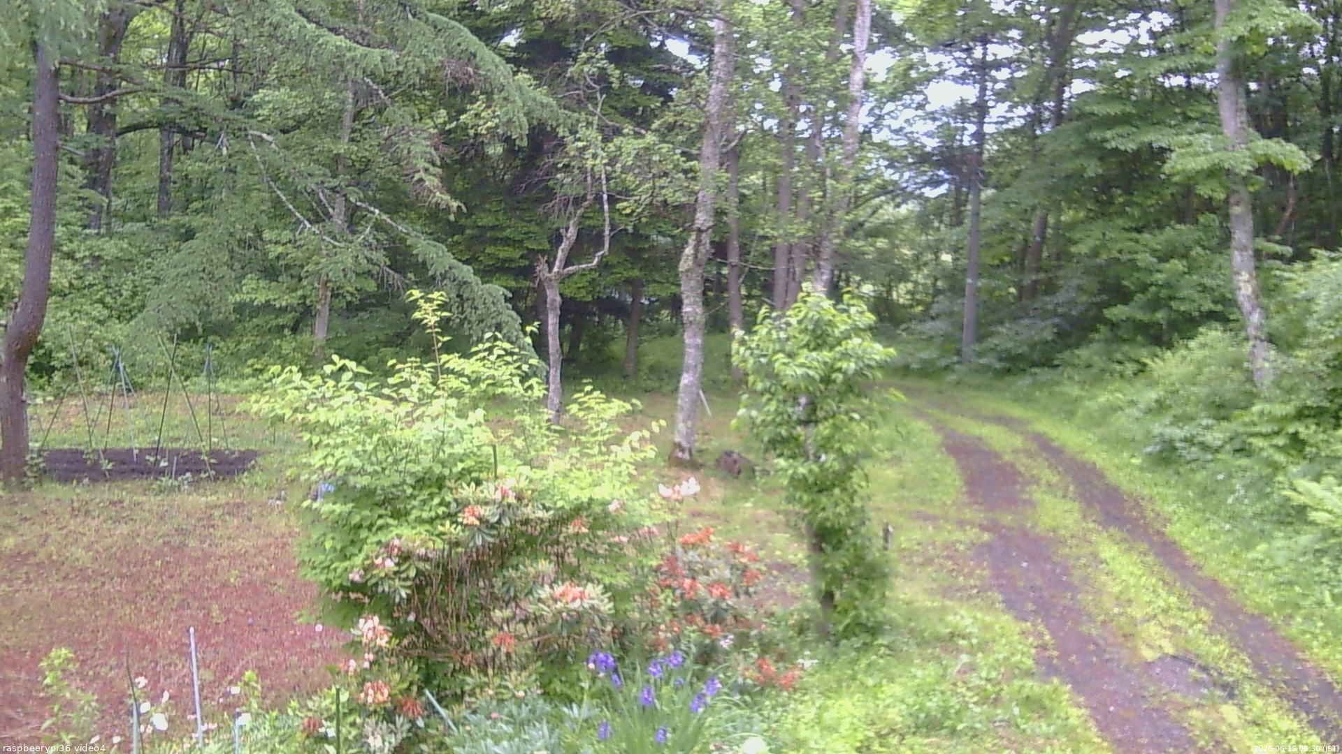 長野県菅平高原 ゆたか山荘 坂上 2026/06/15 06:30
