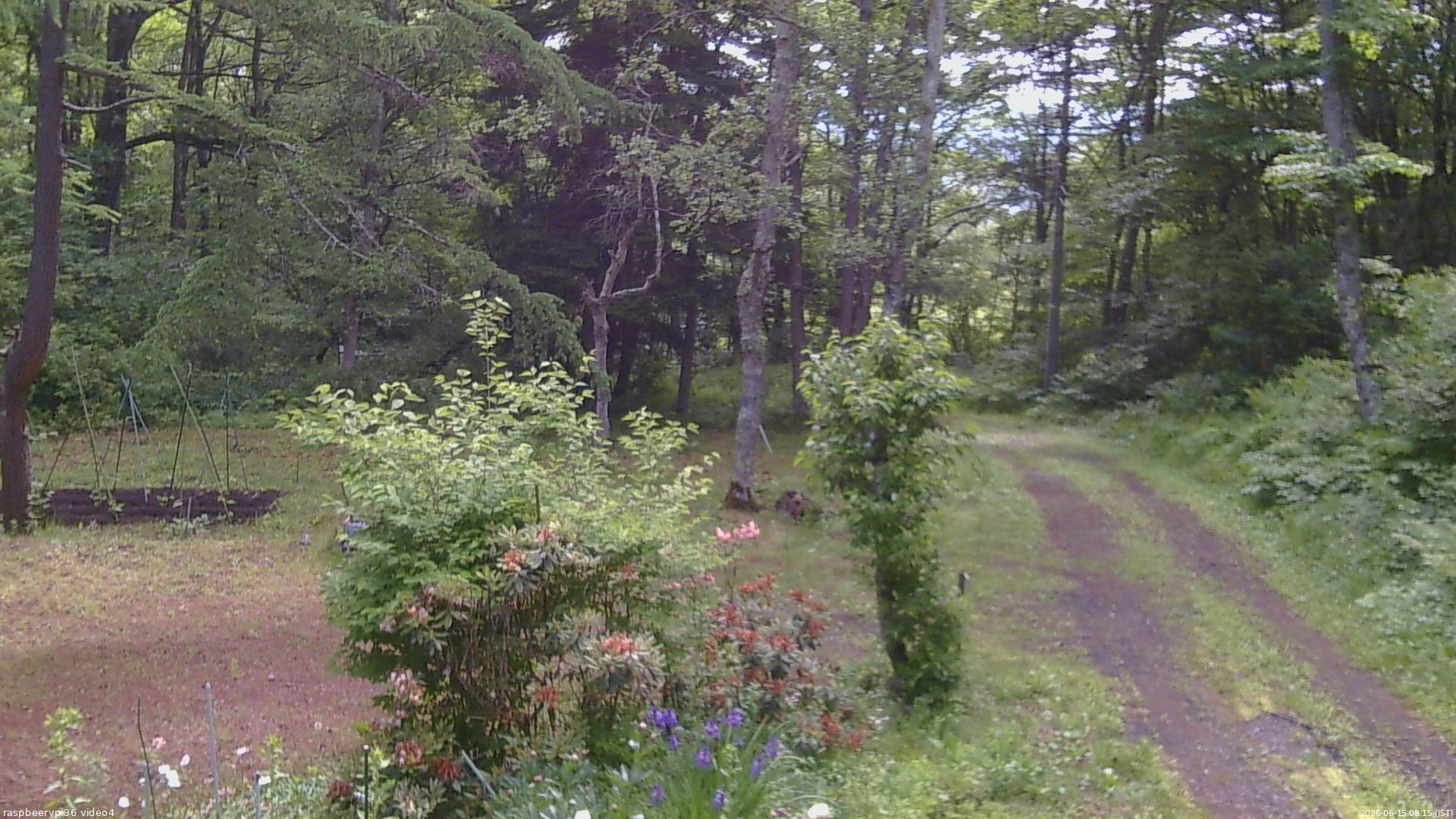 長野県菅平高原 ゆたか山荘 坂上 2026/06/15 08:15