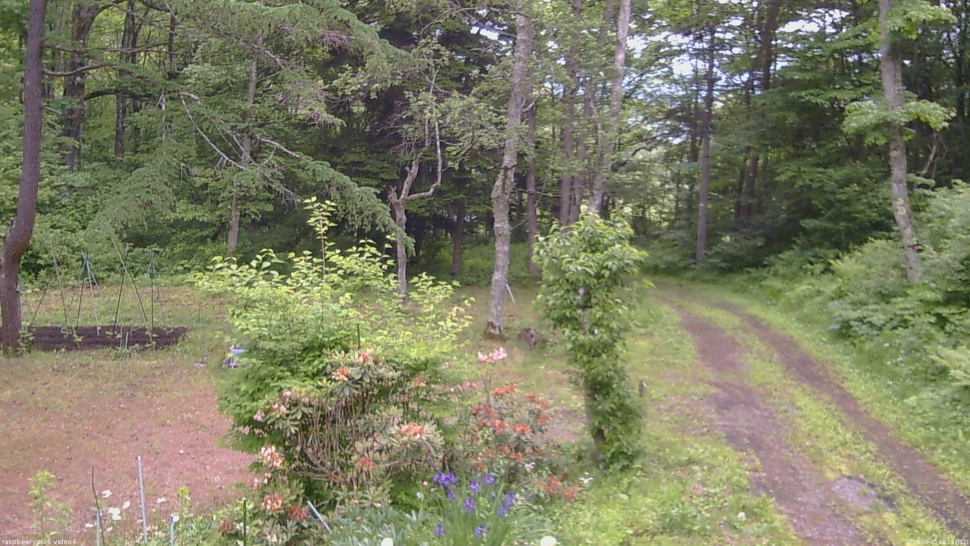 長野県菅平高原 ゆたか山荘 坂上 2026/06/15 10:15
