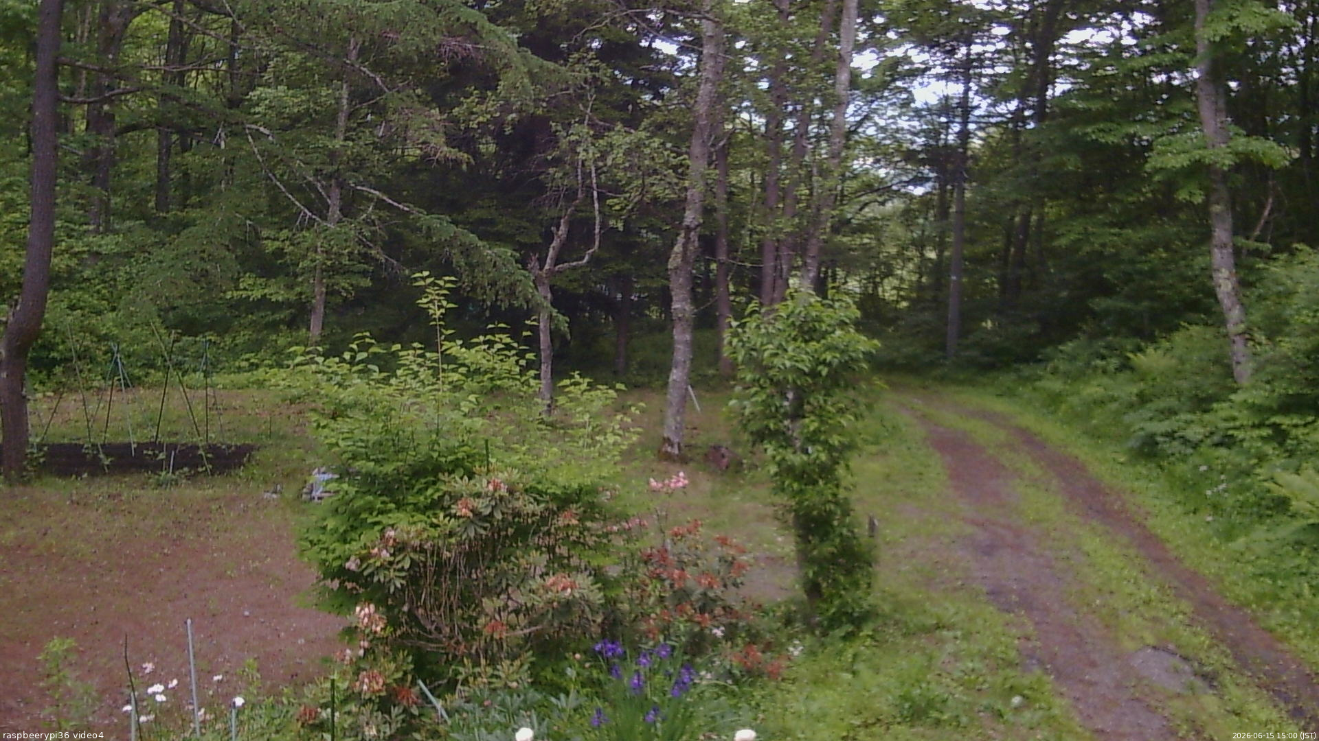 長野県菅平高原 ゆたか山荘 坂上 2026/06/15 15:00