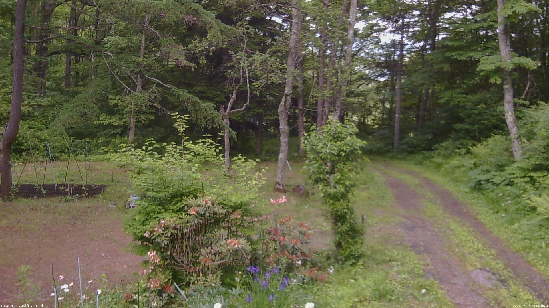 長野県菅平高原 ゆたか山荘 坂上 2026/06/15 16:00