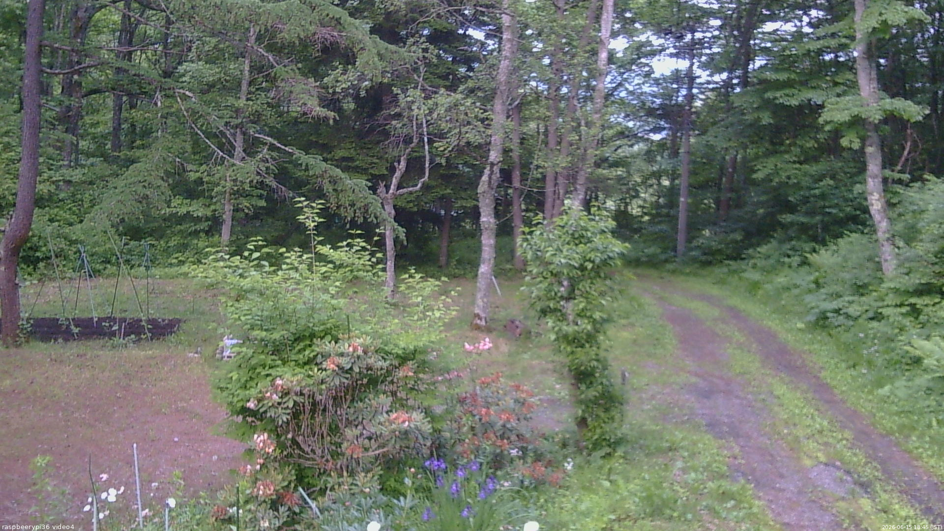 長野県菅平高原 ゆたか山荘 坂上 2026/06/15 18:45