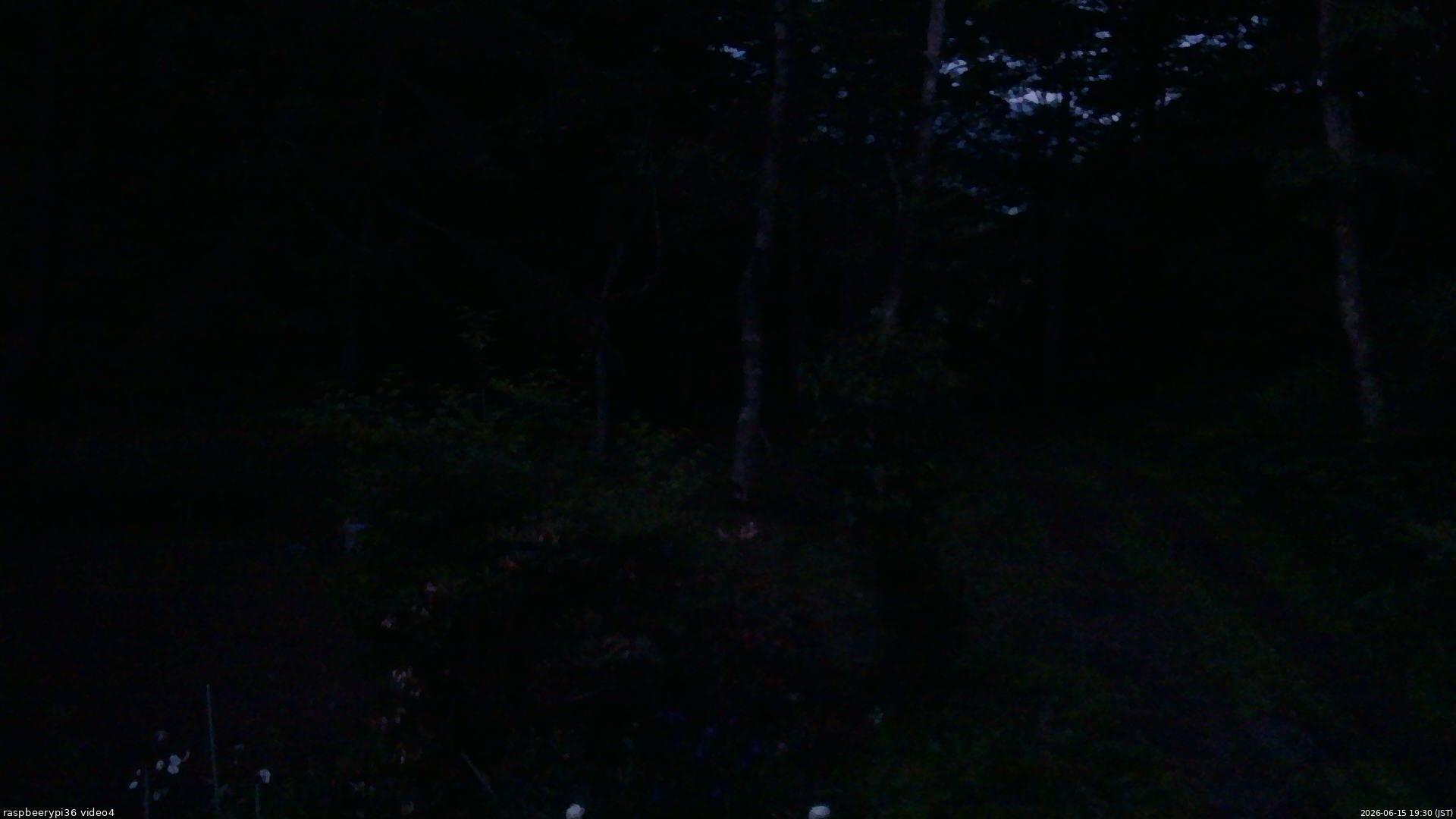長野県菅平高原 ゆたか山荘 坂上 2026/06/15 19:30