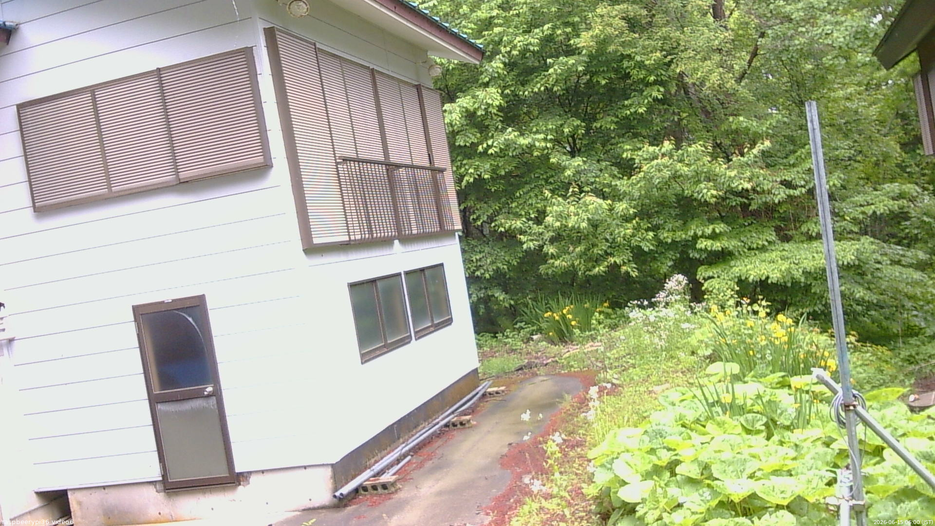 長野県菅平高原 ゆたか山荘 坂下 2026/06/15 06:00