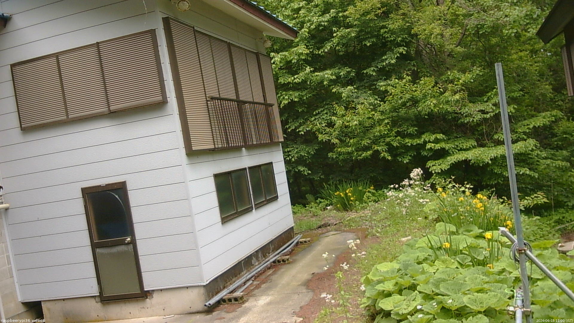 長野県菅平高原 ゆたか山荘 坂下 2026/06/15 11:00