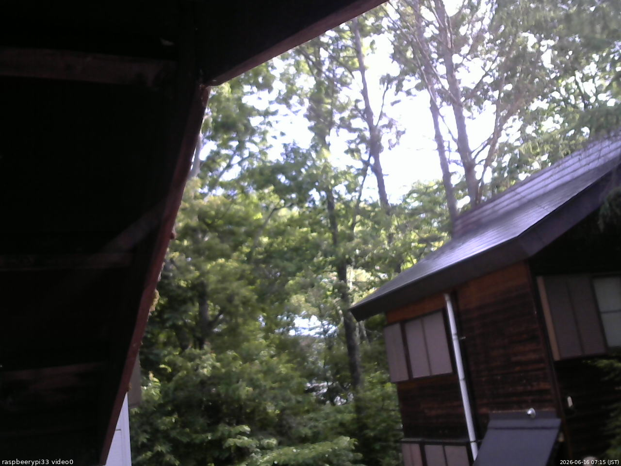 長野県菅平高原 ゆたか山荘 北側 2026/06/16 07:15