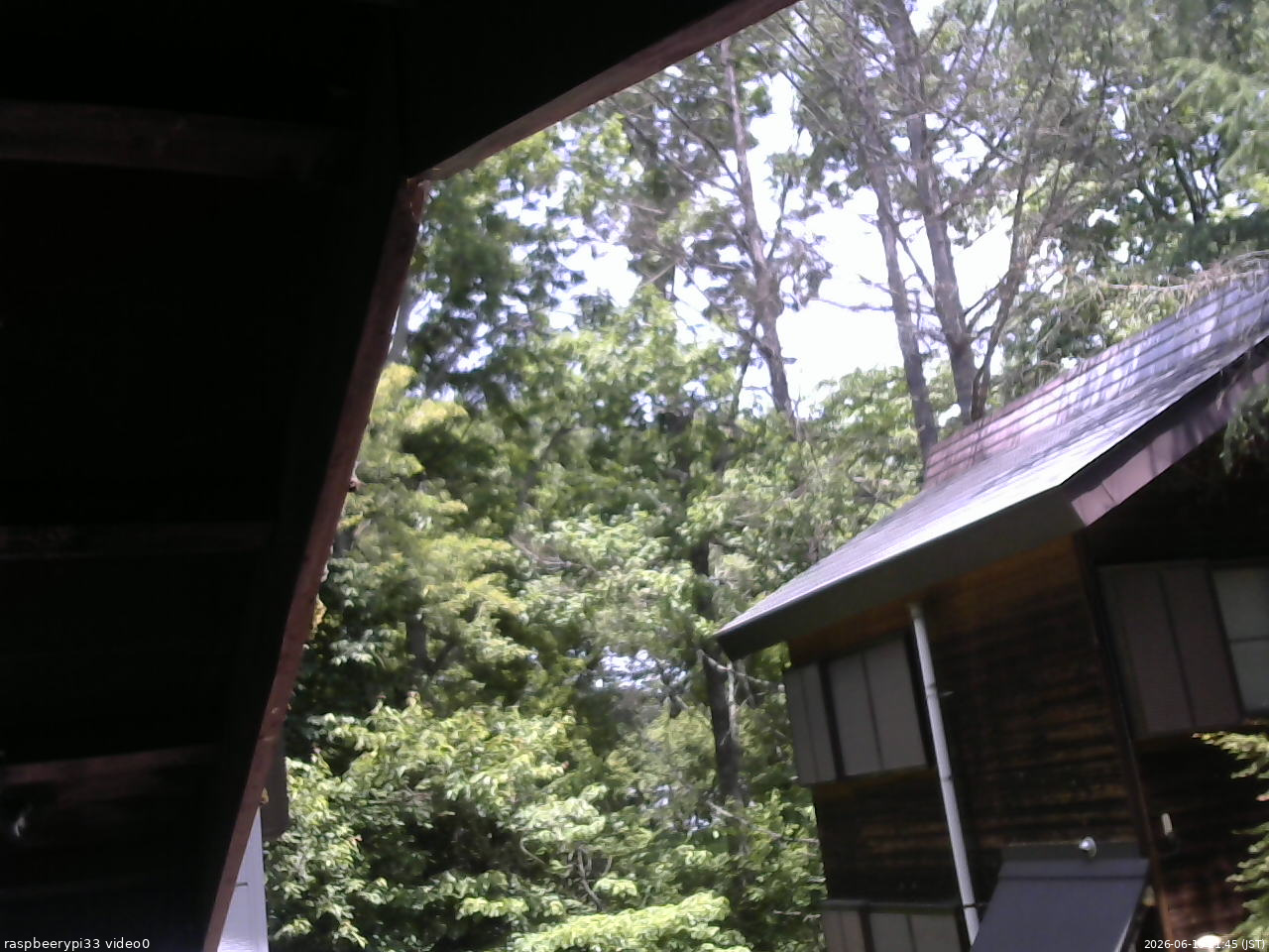 長野県菅平高原 ゆたか山荘 北側 2026/06/16 11:45