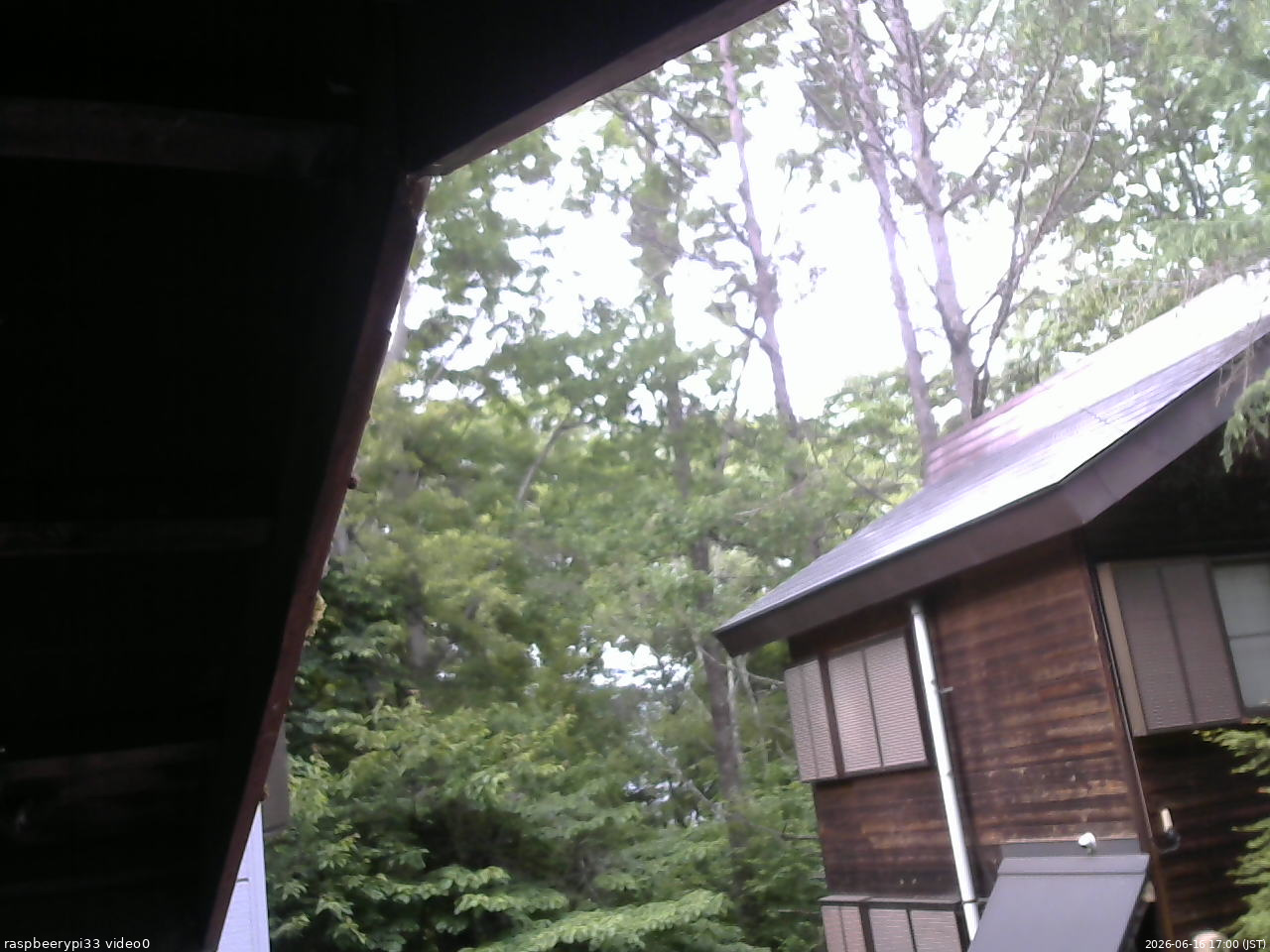 長野県菅平高原 ゆたか山荘 北側 2026/06/16 17:00