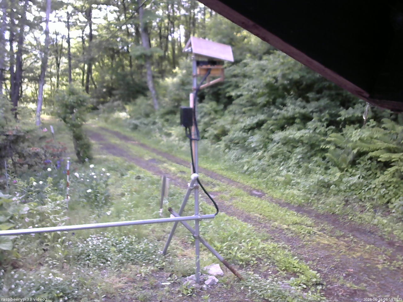 長野県菅平高原 ゆたか山荘 南側 2026/06/16 06:15