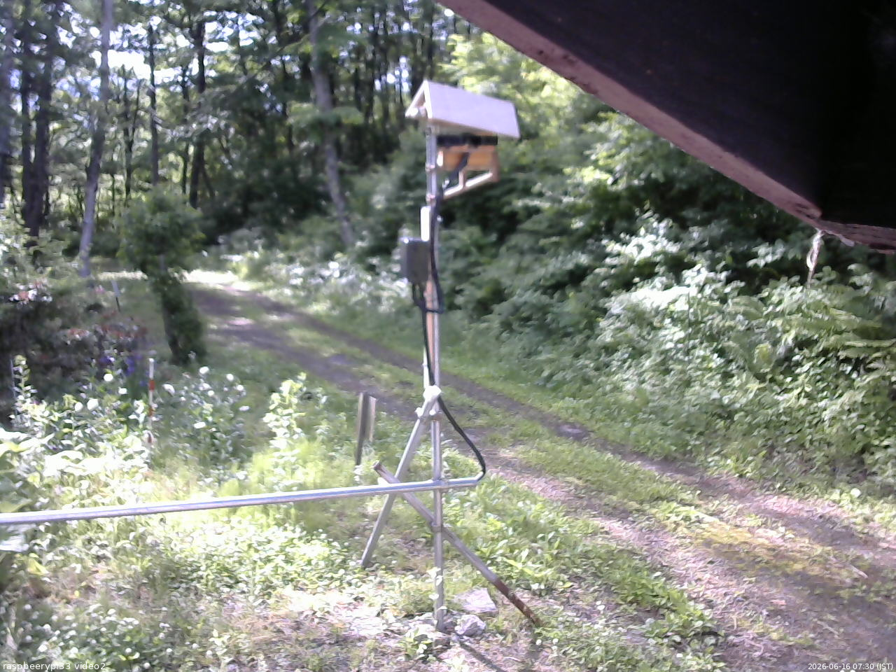 長野県菅平高原 ゆたか山荘 南側 2026/06/16 07:30