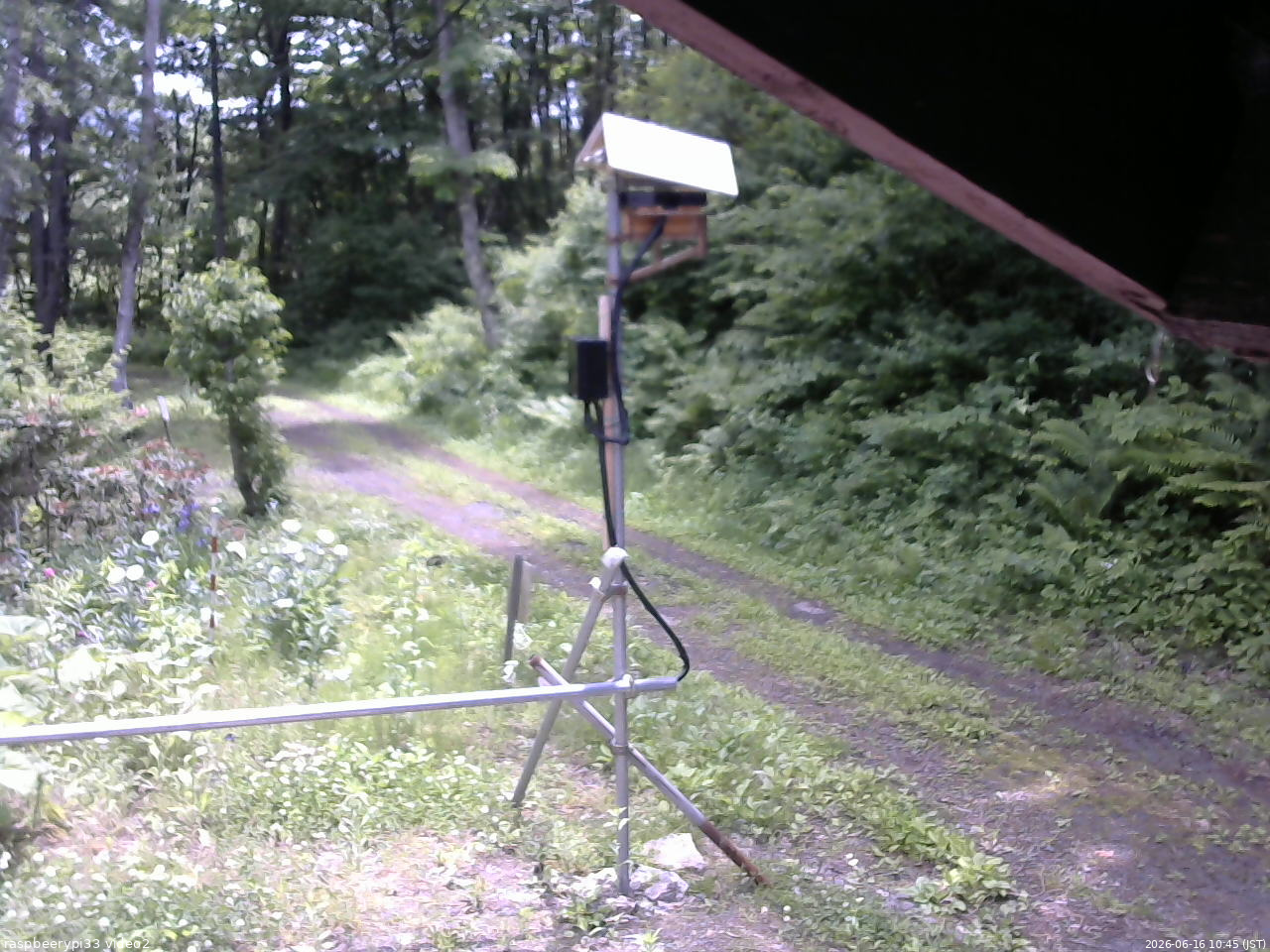 長野県菅平高原 ゆたか山荘 南側 2026/06/16 10:45