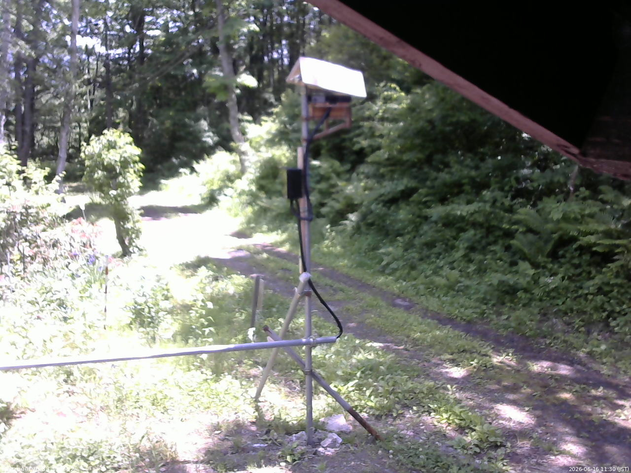 長野県菅平高原 ゆたか山荘 南側 2026/06/16 11:30