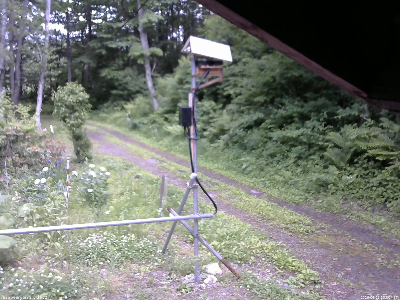 長野県菅平高原 ゆたか山荘 南側 2026/06/16 13:00
