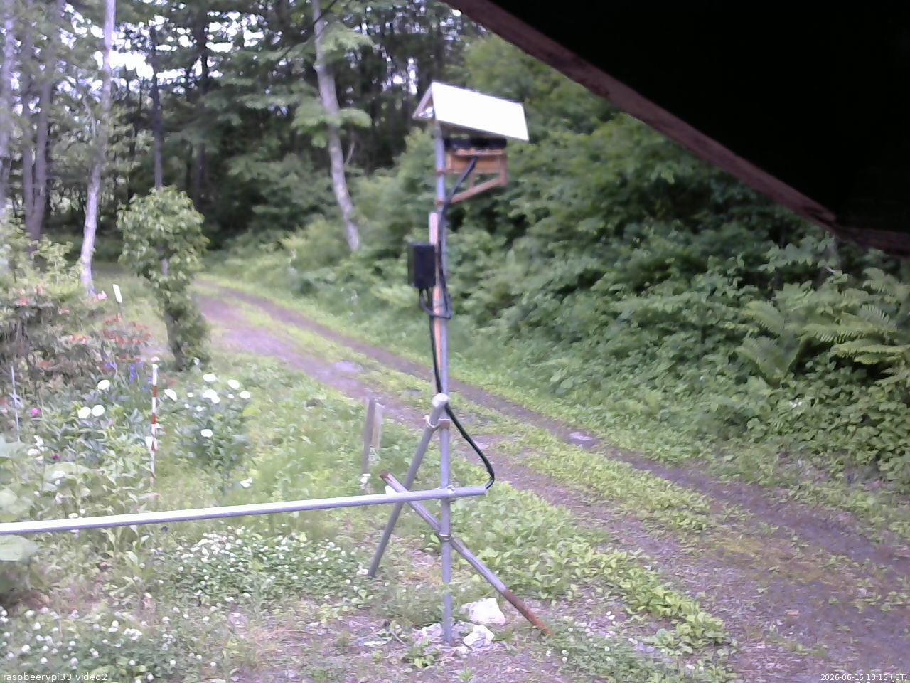長野県菅平高原 ゆたか山荘 南側 2026/06/16 13:15