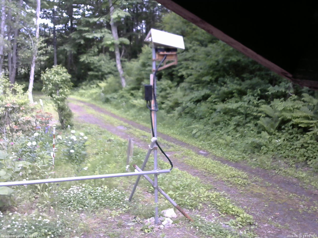 長野県菅平高原 ゆたか山荘 南側 2026/06/16 13:30