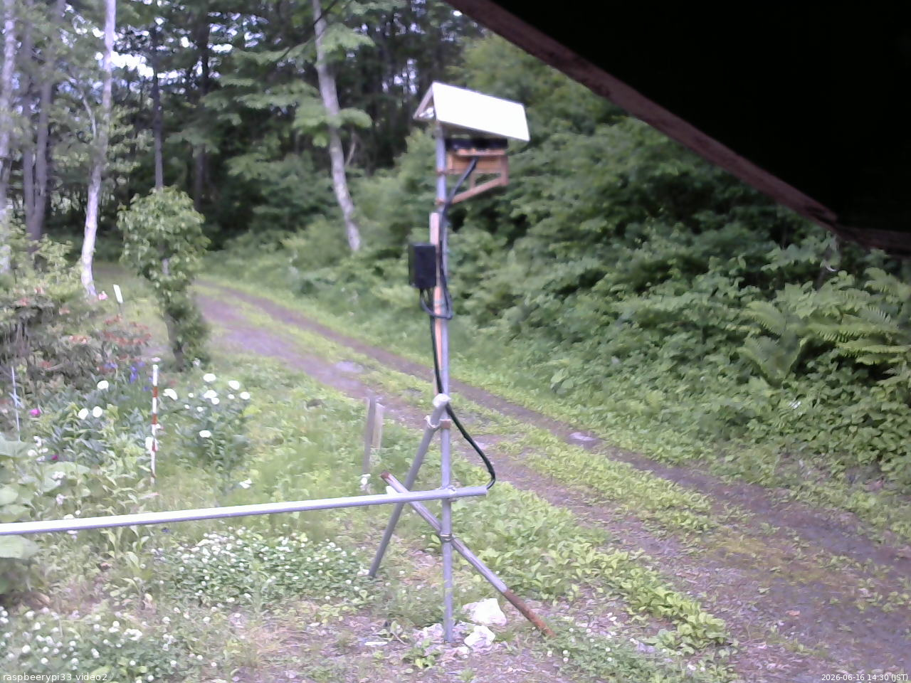 長野県菅平高原 ゆたか山荘 南側 2026/06/16 14:30