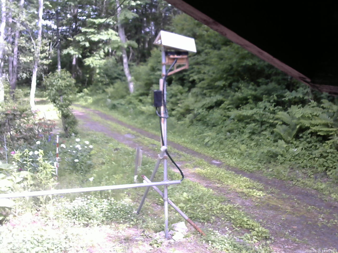 長野県菅平高原 ゆたか山荘 南側 2026/06/16 14:45