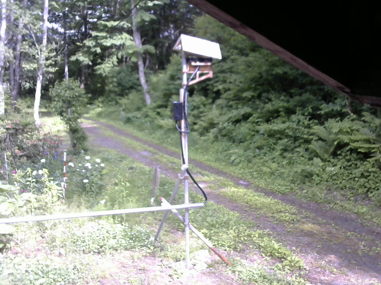 長野県菅平高原 ゆたか山荘 南側 2026/06/16 15:00