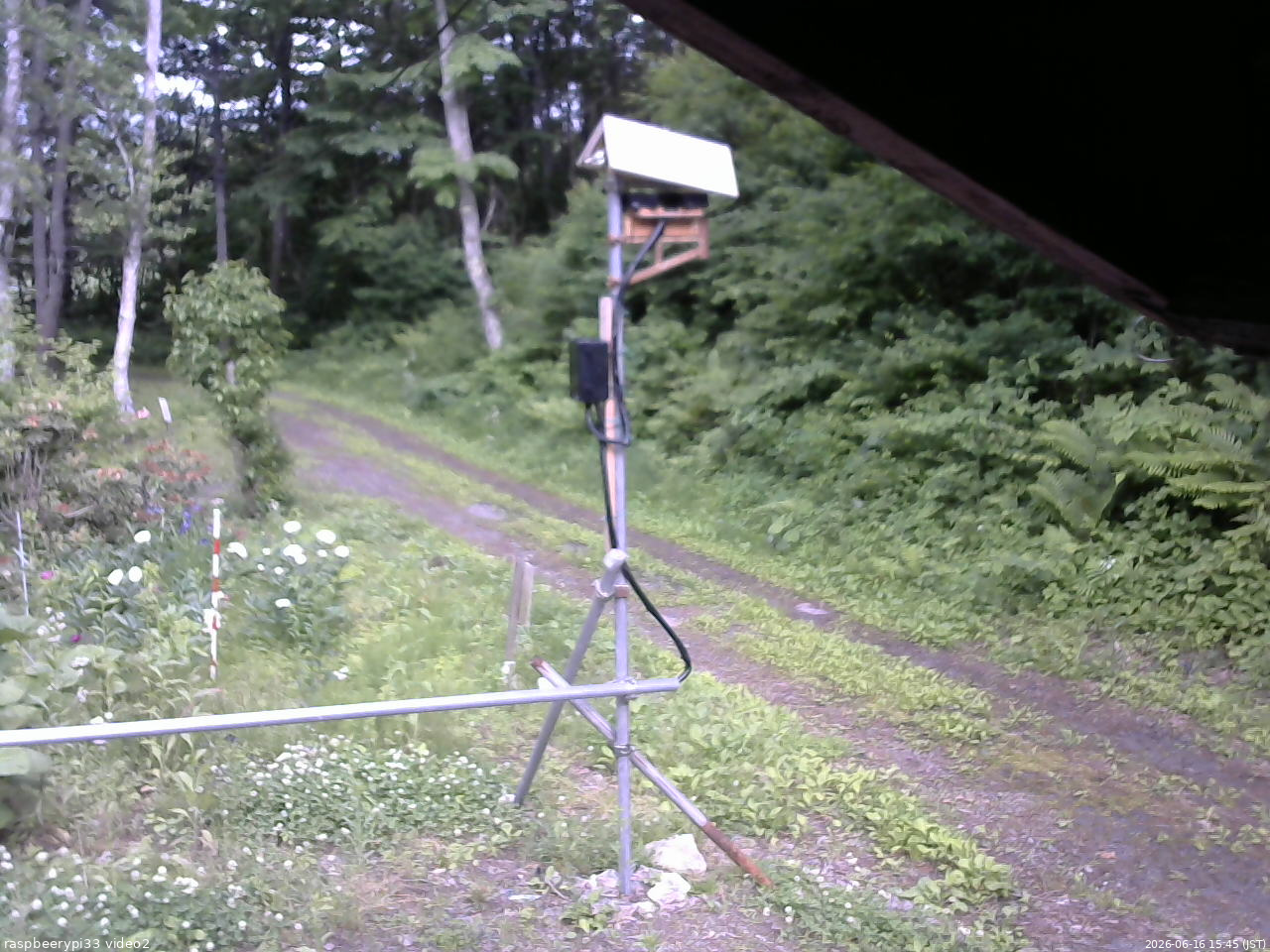 長野県菅平高原 ゆたか山荘 南側 2026/06/16 15:45