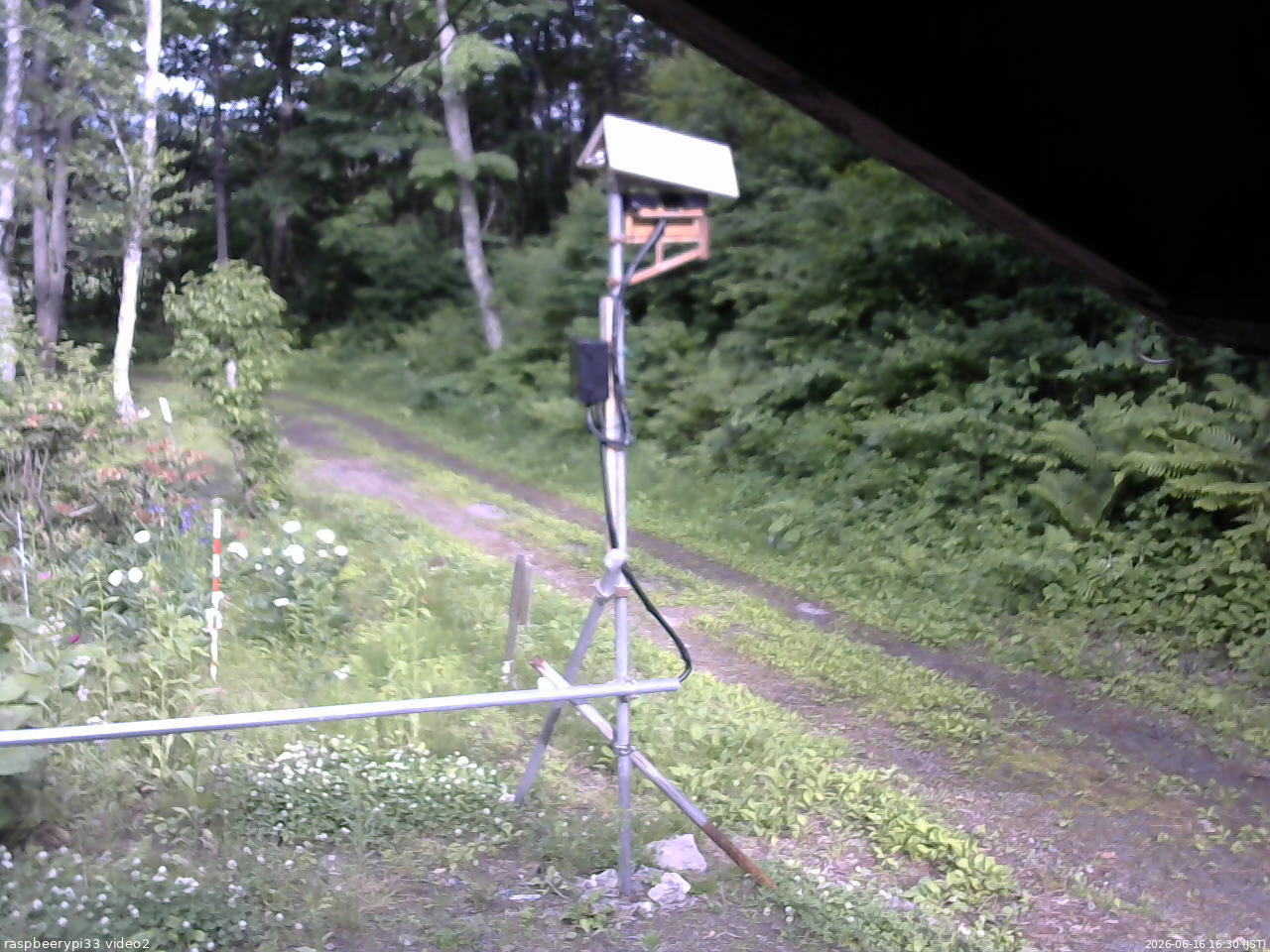 長野県菅平高原 ゆたか山荘 南側 2026/06/16 16:30