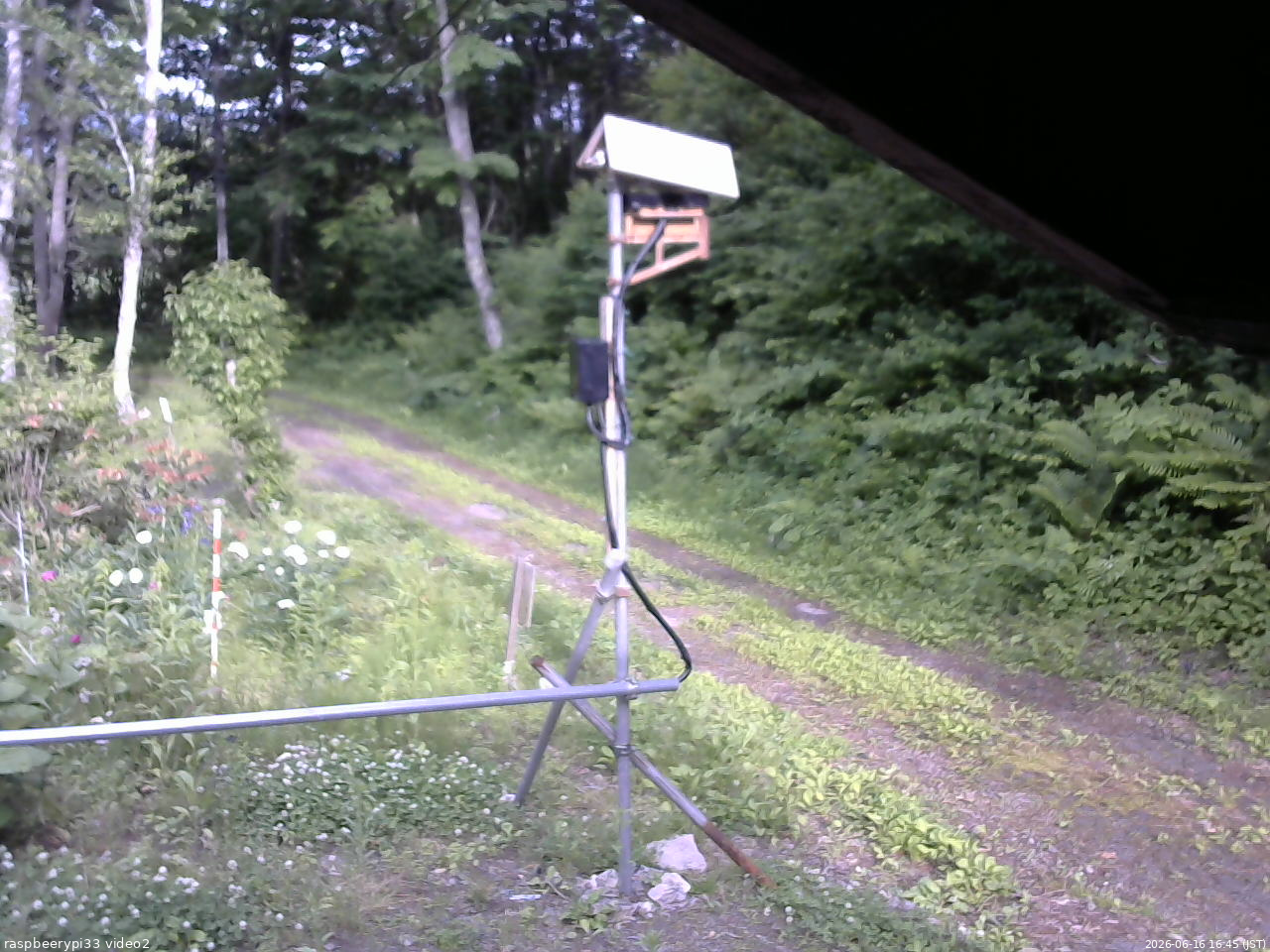 長野県菅平高原 ゆたか山荘 南側 2026/06/16 16:45