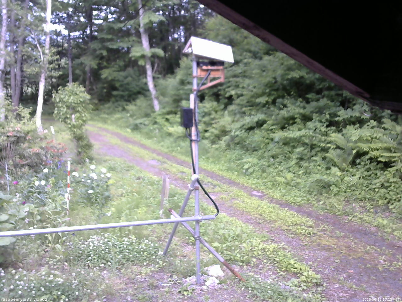 長野県菅平高原 ゆたか山荘 南側 2026/06/16 17:15