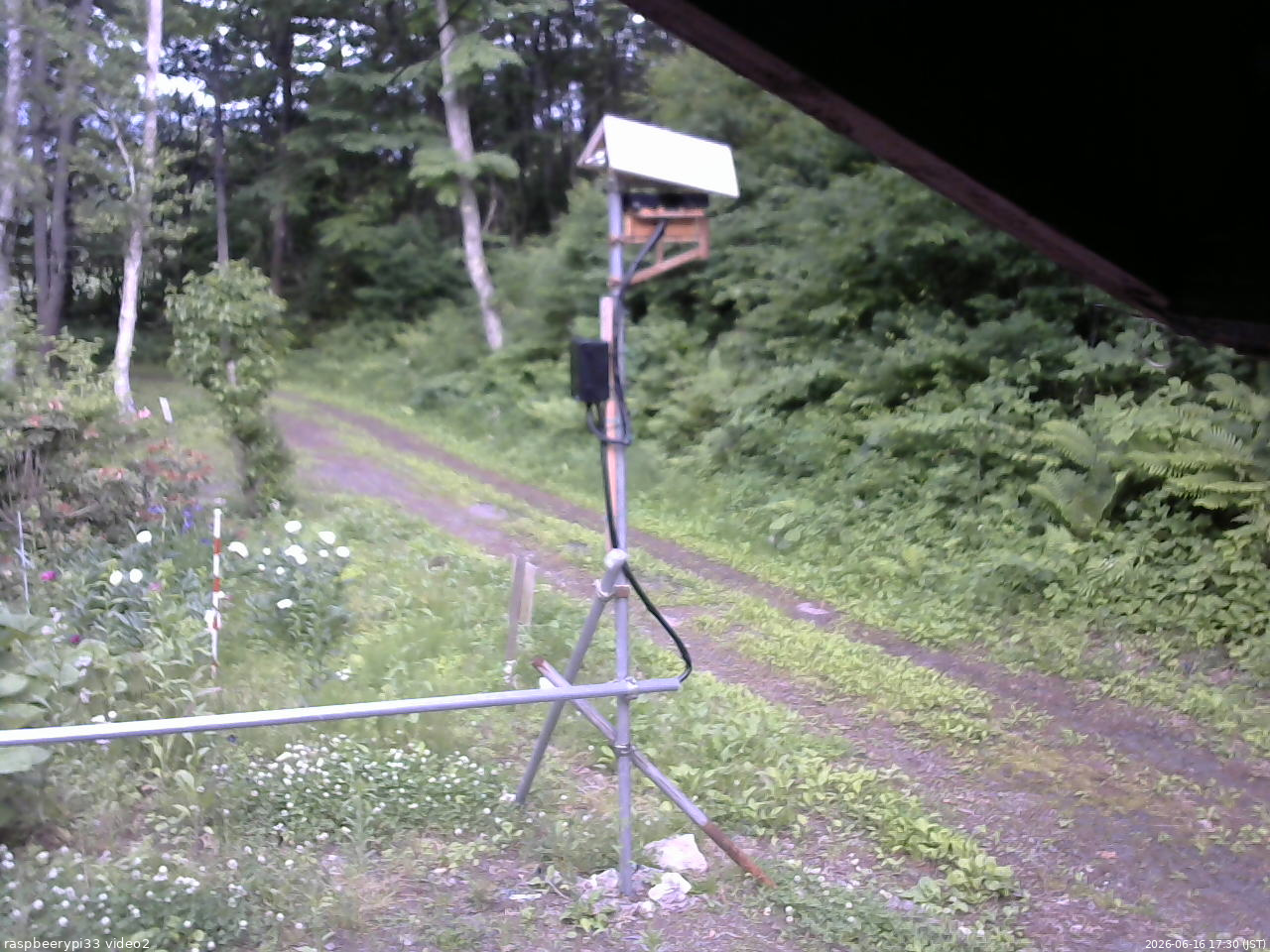 長野県菅平高原 ゆたか山荘 南側 2026/06/16 17:30