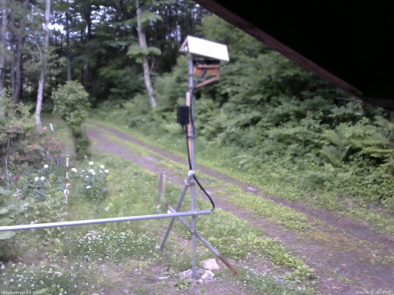 長野県菅平高原 ゆたか山荘 南側 2026/06/16 18:15