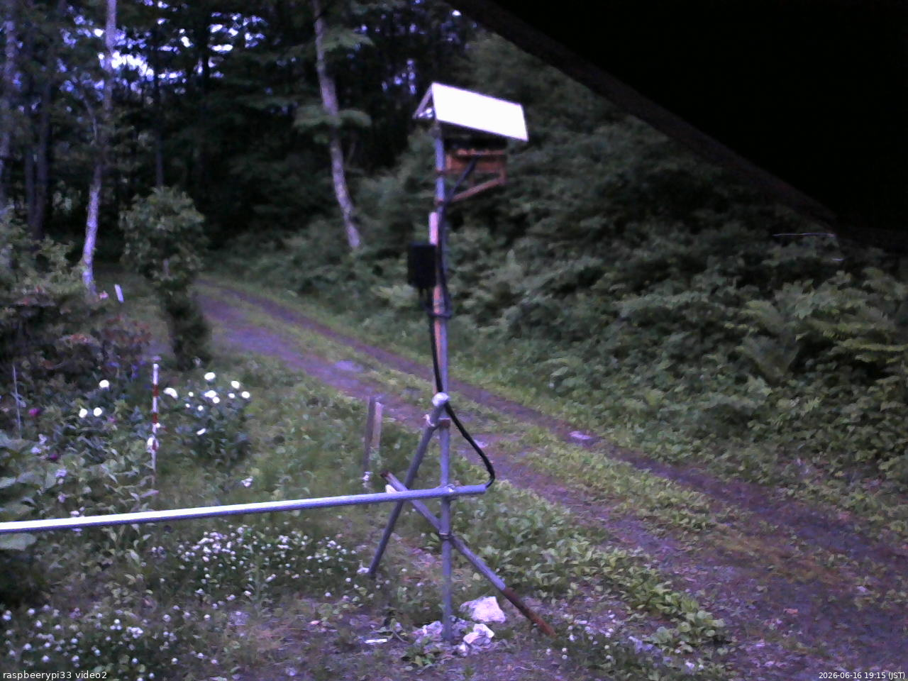 長野県菅平高原 ゆたか山荘 南側 2026/06/16 19:15