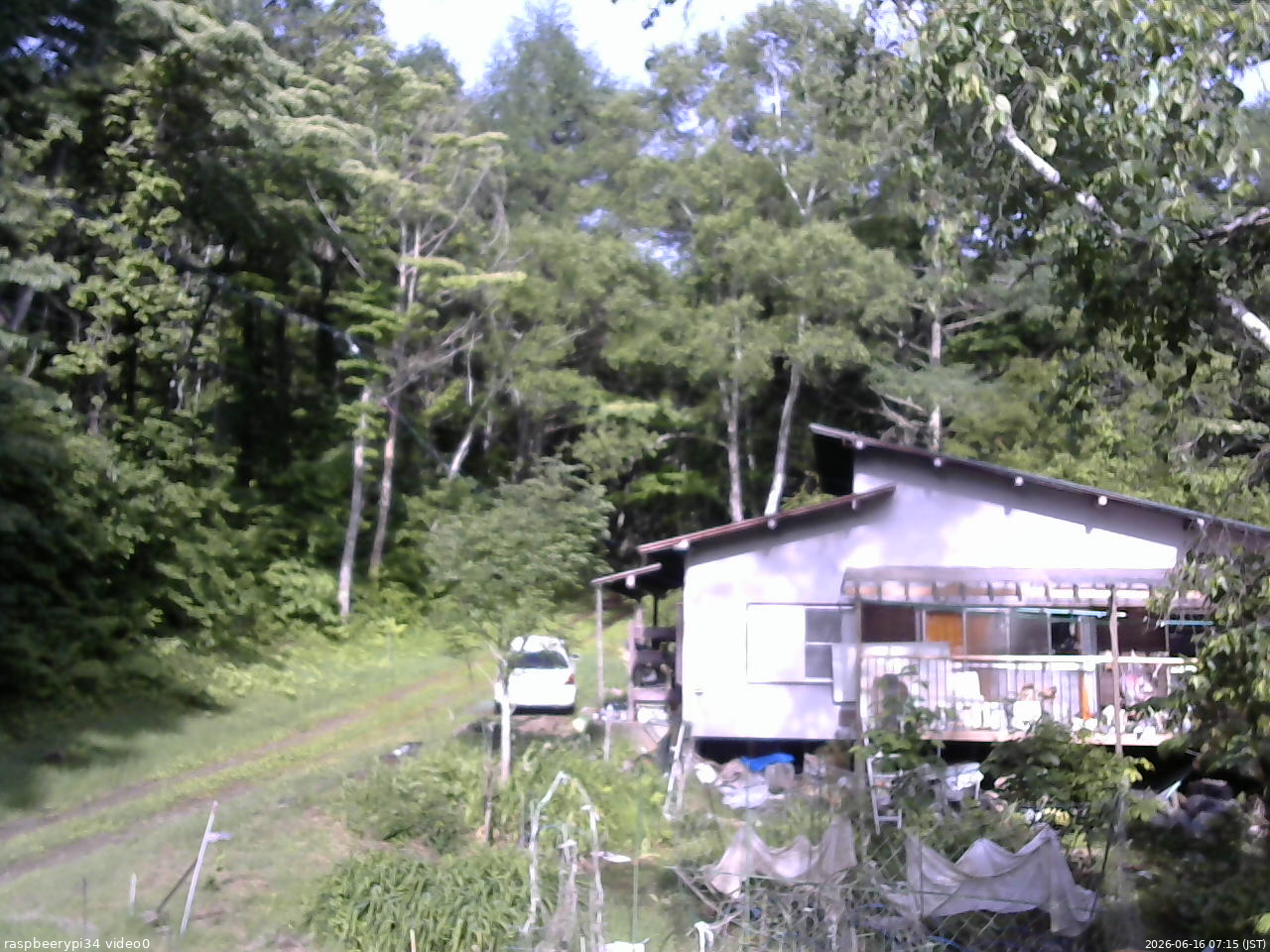 長野県菅平高原 ゆたか山荘 西側(坂上) 2026/06/16 07:15