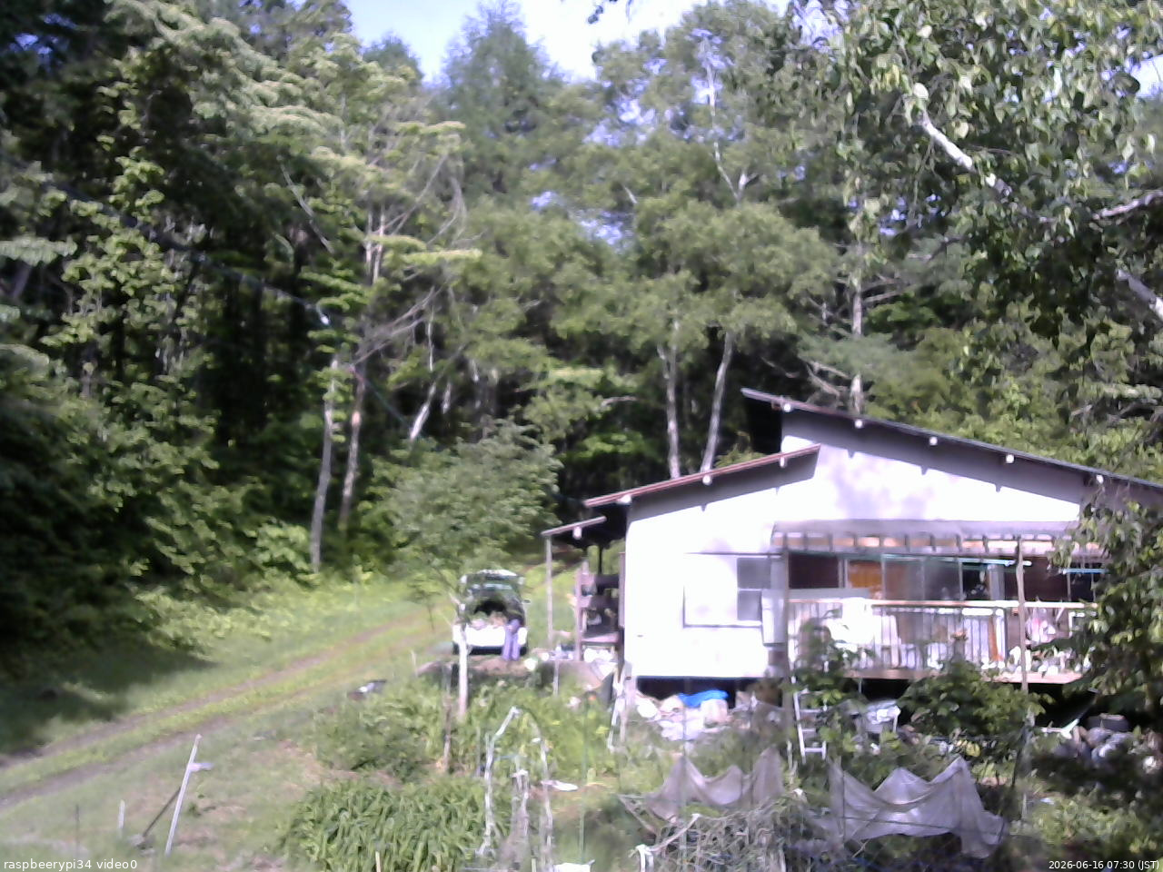 長野県菅平高原 ゆたか山荘 西側(坂上) 2026/06/16 07:30