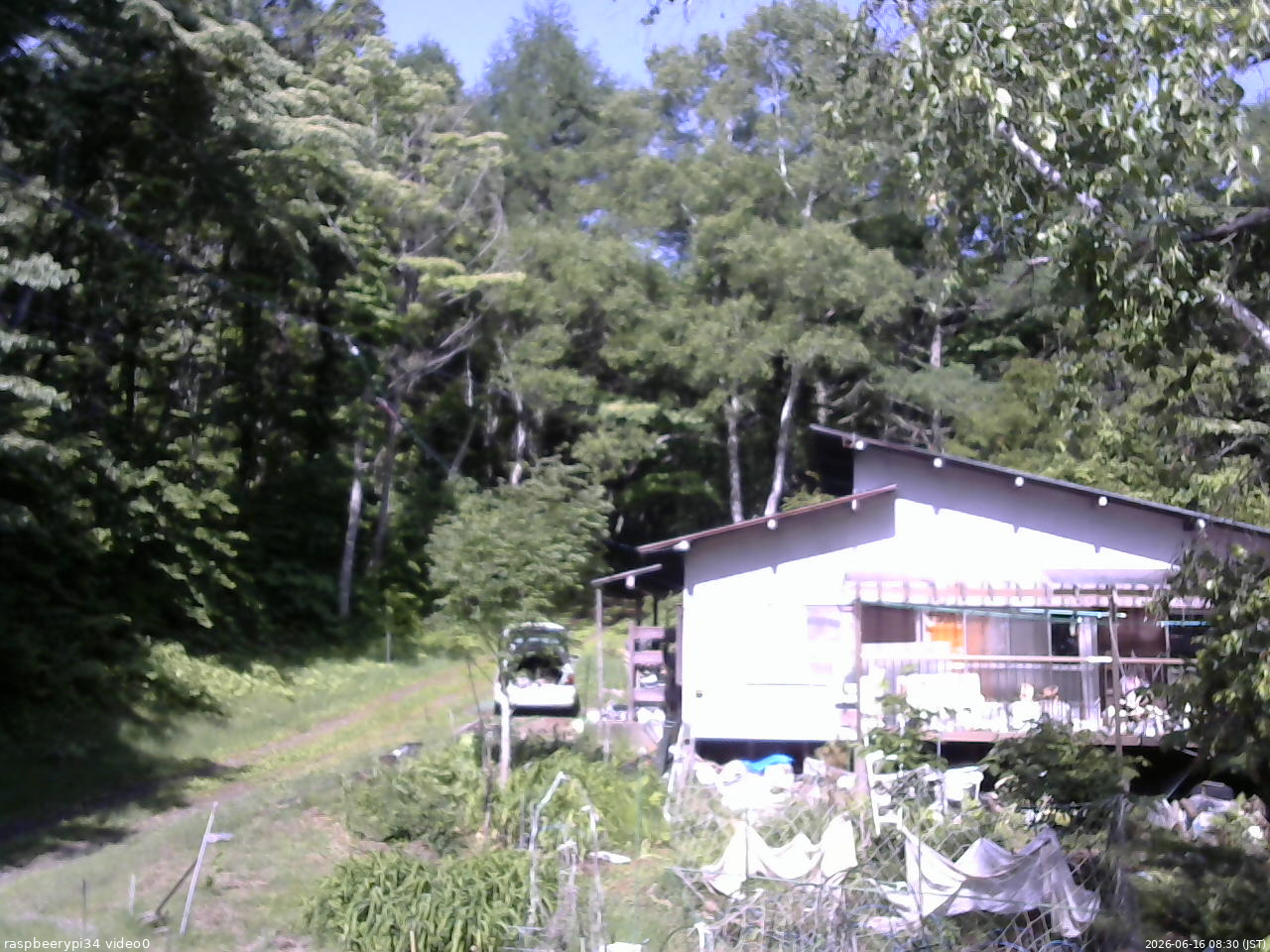 長野県菅平高原 ゆたか山荘 西側(坂上) 2026/06/16 08:30