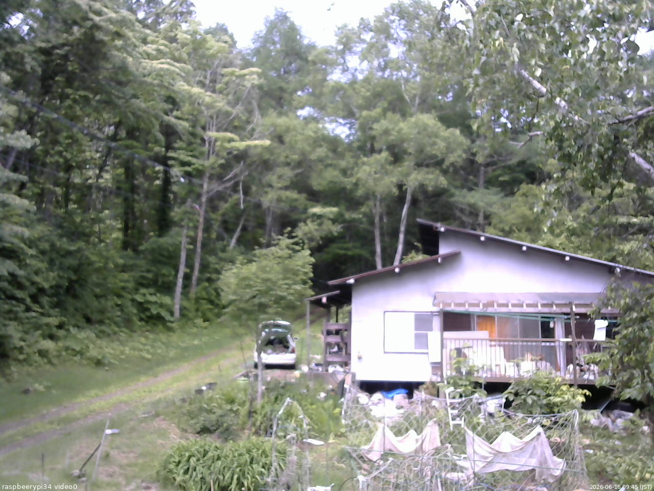 長野県菅平高原 ゆたか山荘 西側(坂上) 2026/06/16 09:45