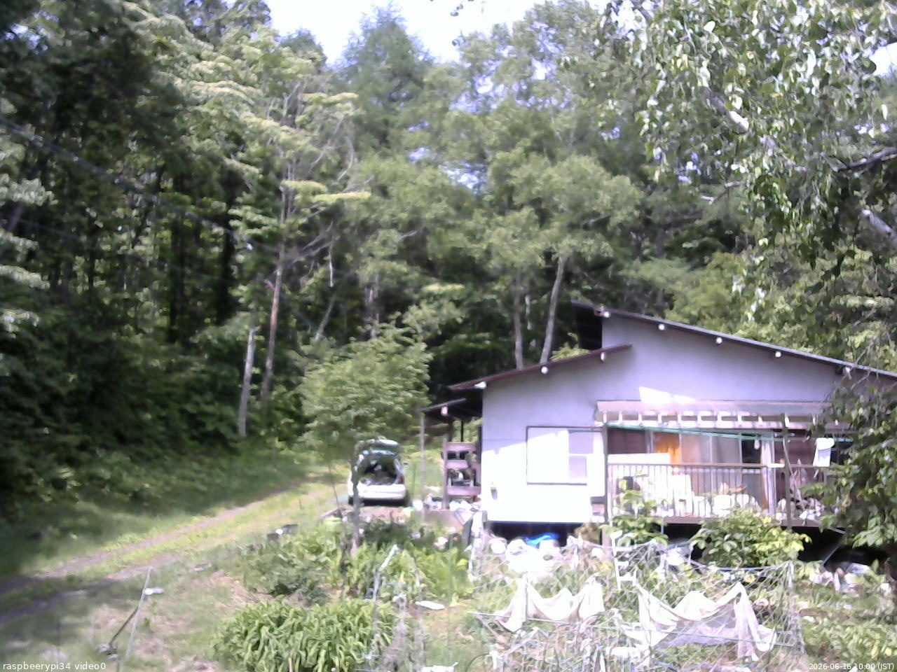 長野県菅平高原 ゆたか山荘 西側(坂上) 2026/06/16 10:00