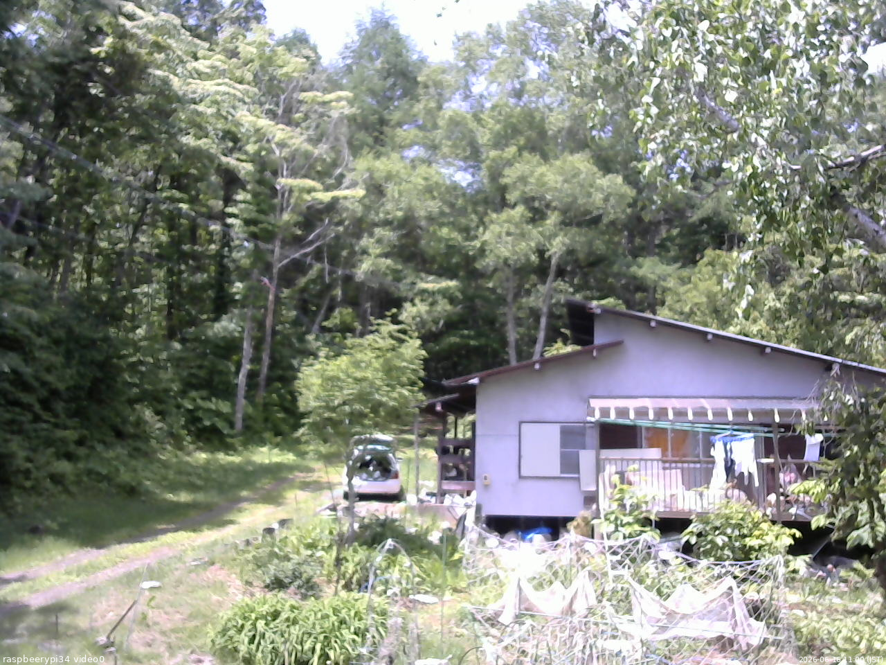 長野県菅平高原 ゆたか山荘 西側(坂上) 2026/06/16 11:00