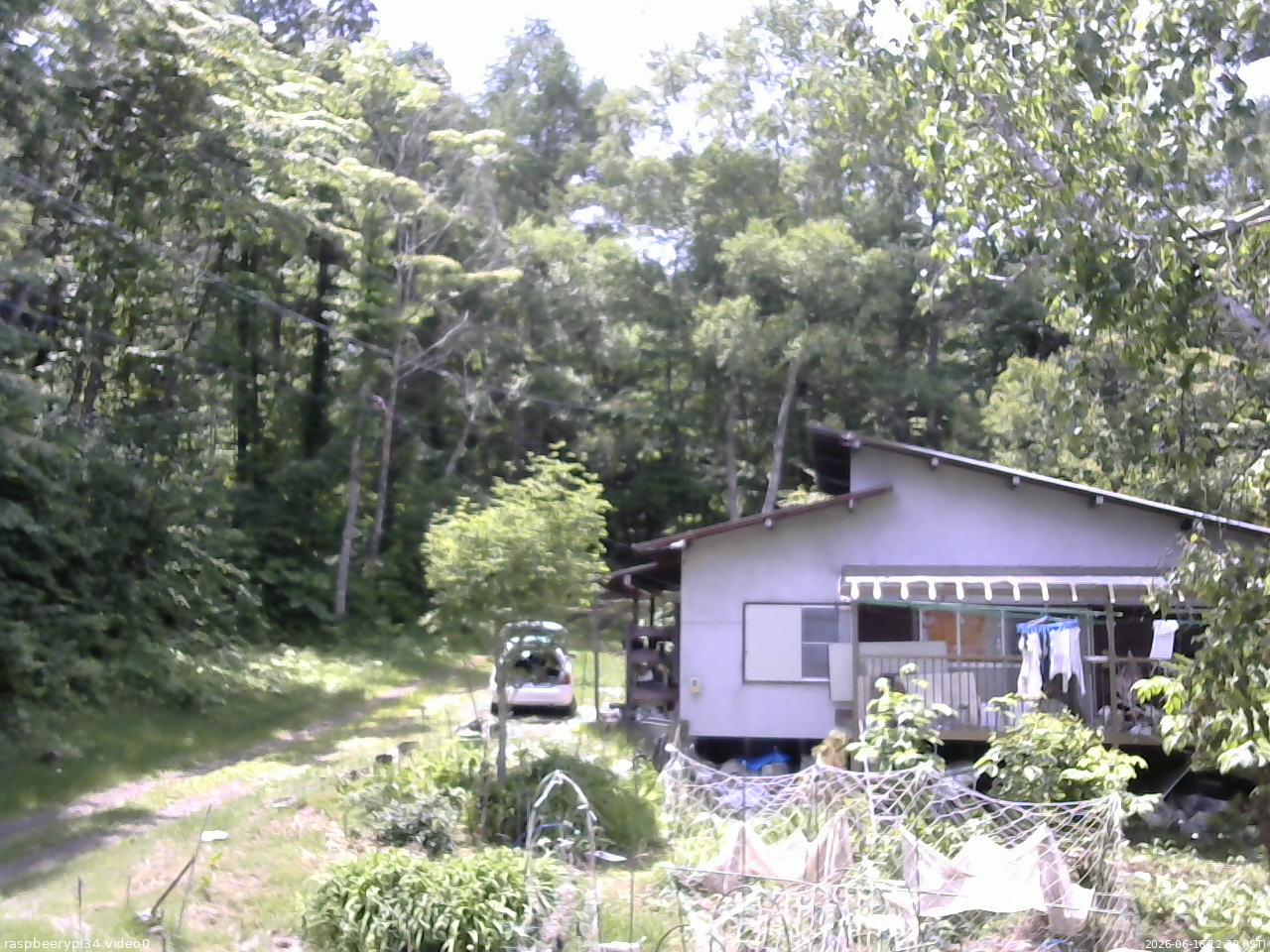 長野県菅平高原 ゆたか山荘 西側(坂上) 2026/06/16 12:30