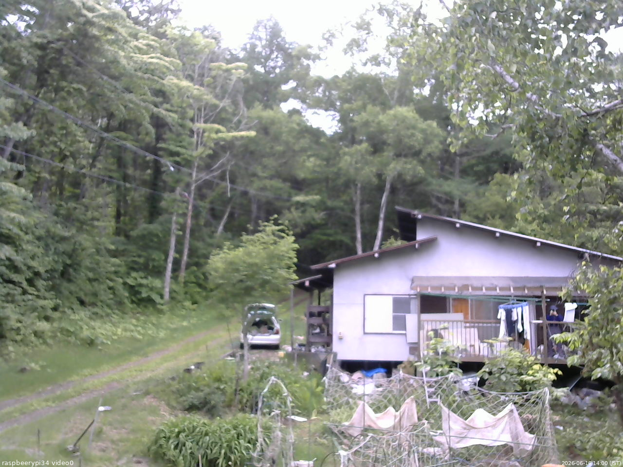 長野県菅平高原 ゆたか山荘 西側(坂上) 2026/06/16 14:00