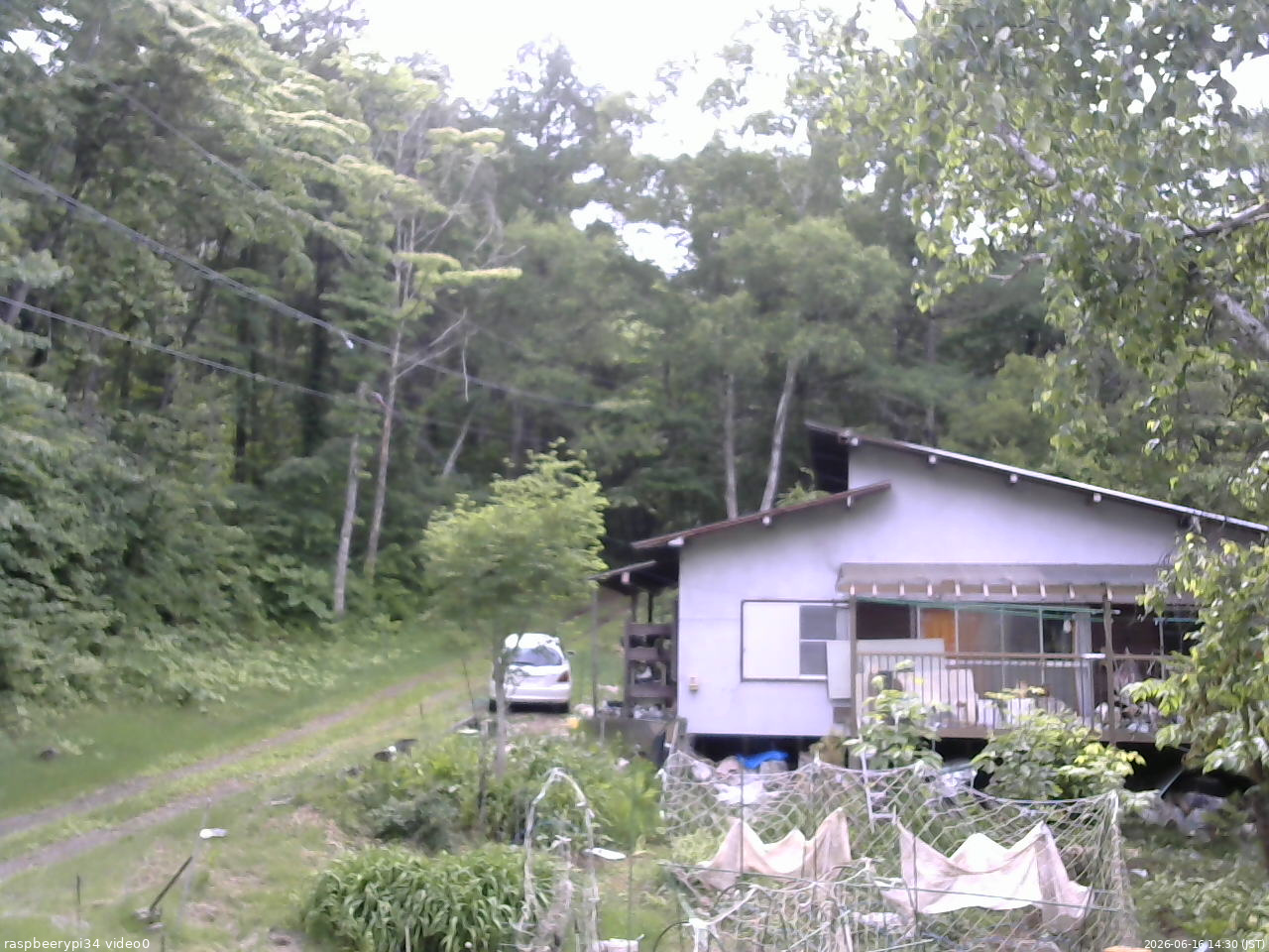 長野県菅平高原 ゆたか山荘 西側(坂上) 2026/06/16 14:30
