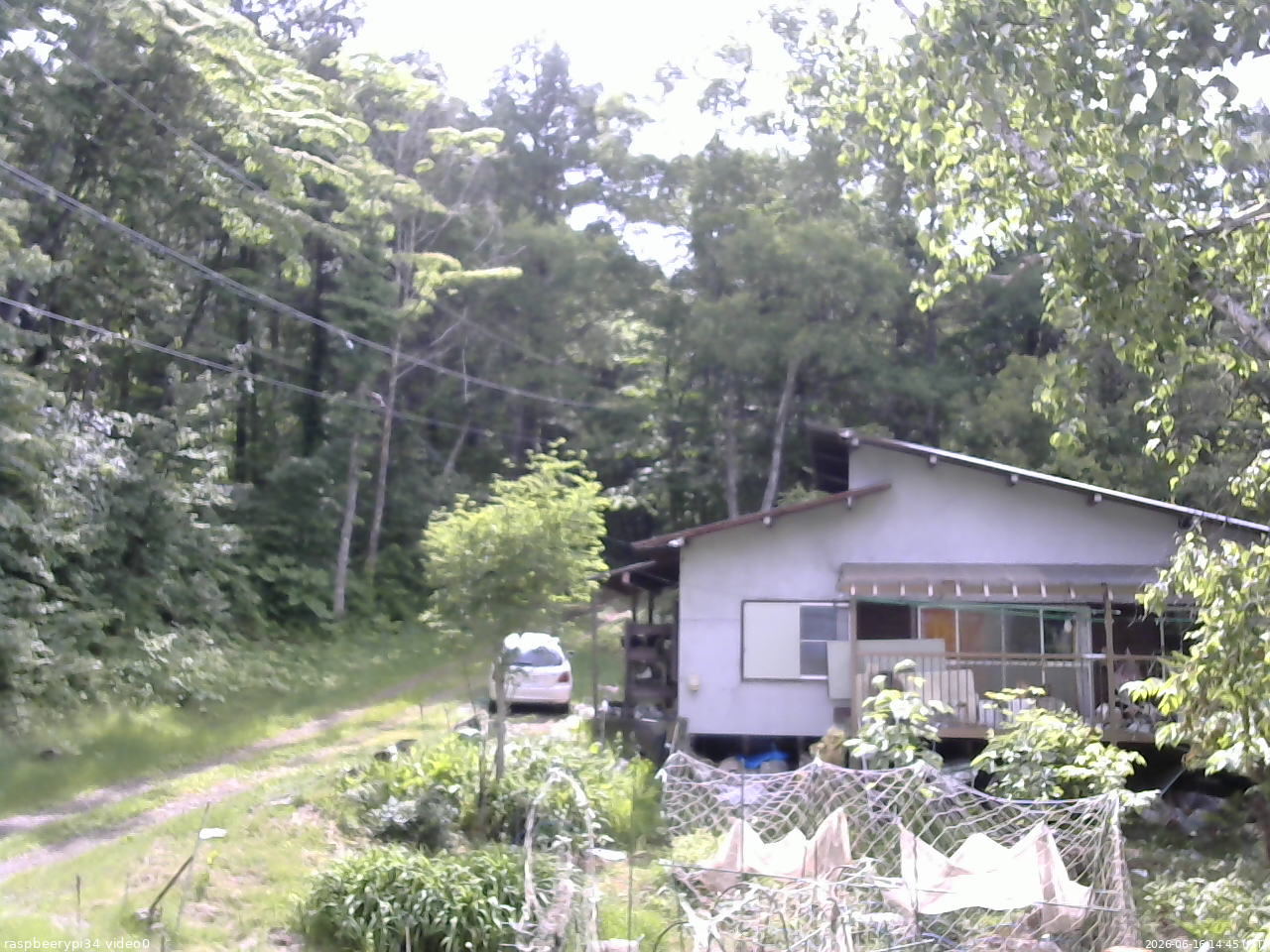 長野県菅平高原 ゆたか山荘 西側(坂上) 2026/06/16 14:45