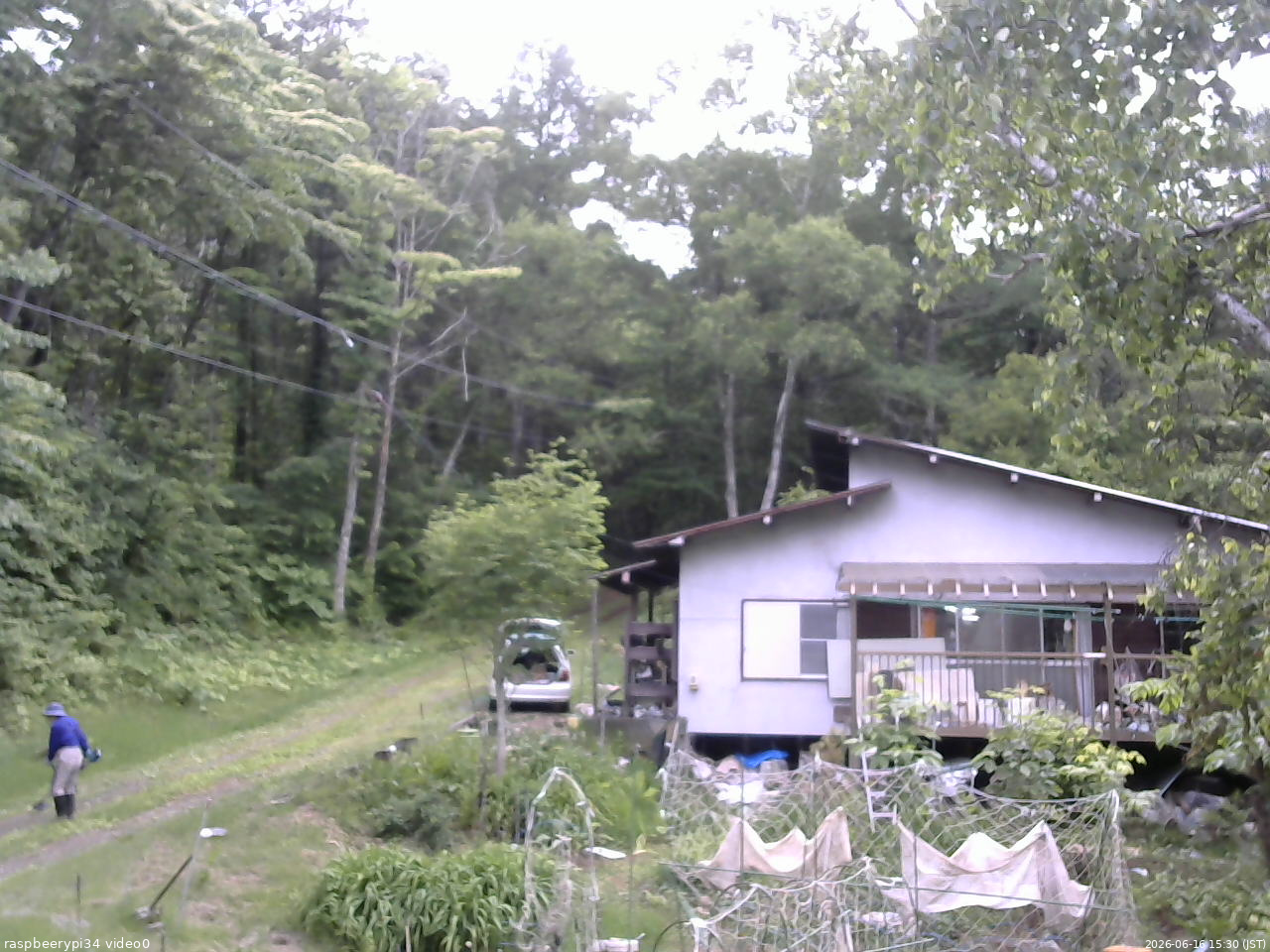 長野県菅平高原 ゆたか山荘 西側(坂上) 2026/06/16 15:30