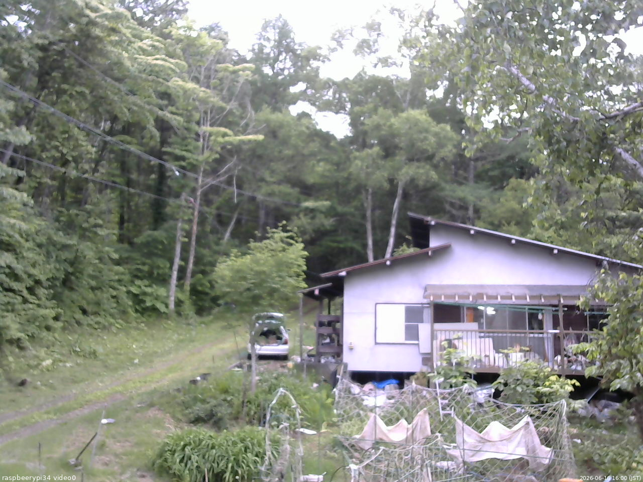長野県菅平高原 ゆたか山荘 西側(坂上) 2026/06/16 16:00