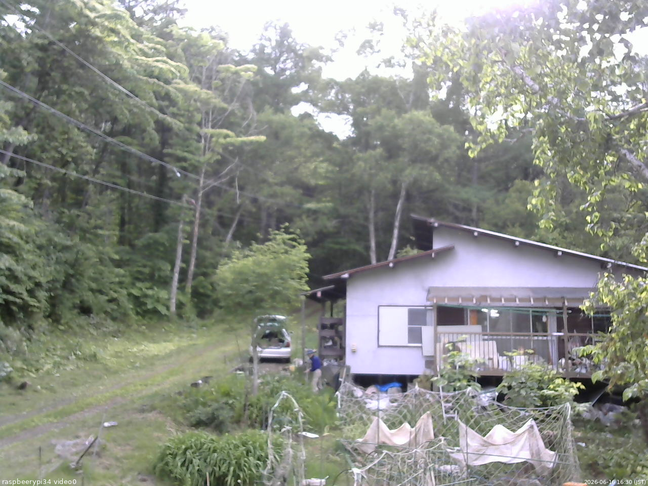 長野県菅平高原 ゆたか山荘 西側(坂上) 2026/06/16 16:30